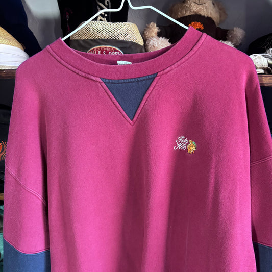 Vintage Twin Hills squirrel embroidery sweatshirt 3 color